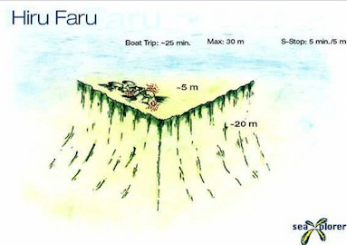 Hiru Faru